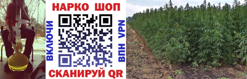 Купить наркотики цена Богородицк OMG маркетплейс  Кокаин  МЕФ  ГАШИШ 