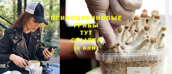 МДПВ Нягань