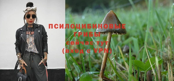 ALPHA PVP Осинники