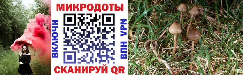 Галлюциногенные грибы GOLDEN TEACHER  Богородицк 