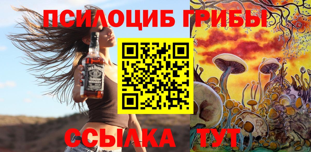 Псилоцибиновые грибы Cubensis Богородицк